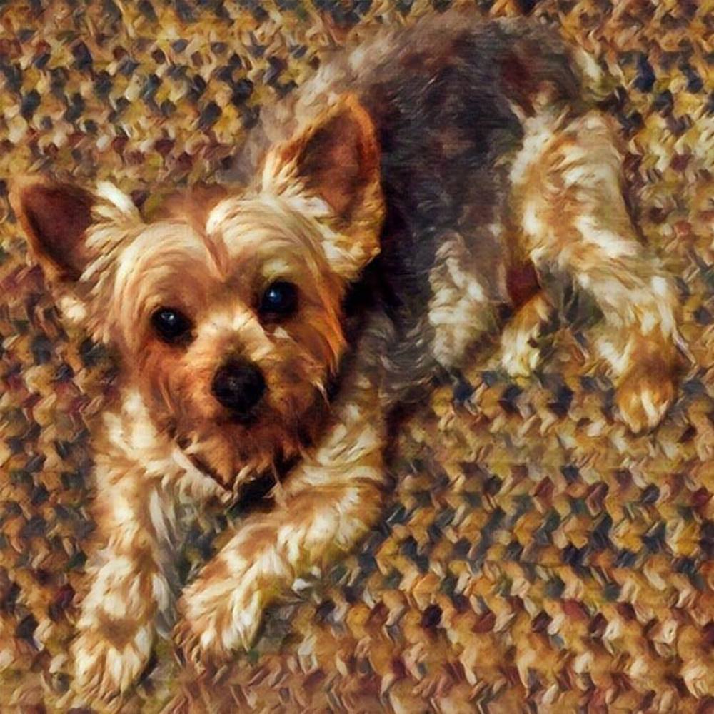 Meet your Posher, Tina